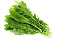 Arugula