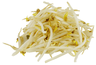 Bean Sprouts