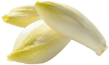 Belgian Endive