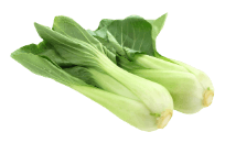 Bok Choy