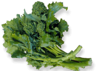 Broccoli Rabe