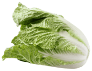 Cabbage, Napa