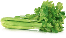 Celery