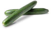 English Cucumber