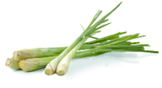 Lemongrass