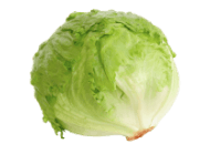 Lettuce-Iceberg