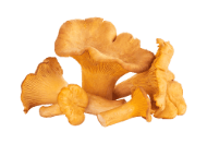 Mushrooms, Chanterelle