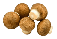 Mushrooms, Crimini