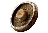 Mushrooms, Portabella