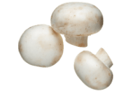 Mushrooms, White