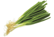 Onion, Green (Scallions)