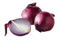 Onion, Red