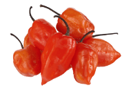 Peppers, Habanero