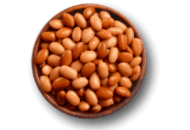 Pinto Beans