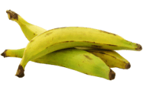 Plantain