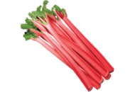 Rhubarb