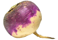 Rutabaga