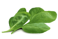 Spinach