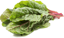 Swiss Chard