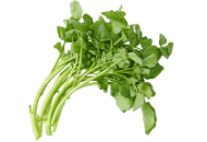 Watercress