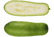 Wax Gourd